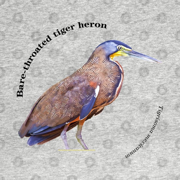 Bare-throated tiger heron tropical bird pin by Ornamentum